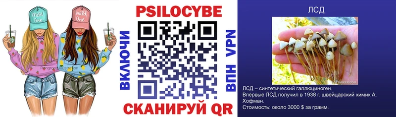цена   MEGA ONION  Псилоцибиновые грибы ЛСД  Выкса 